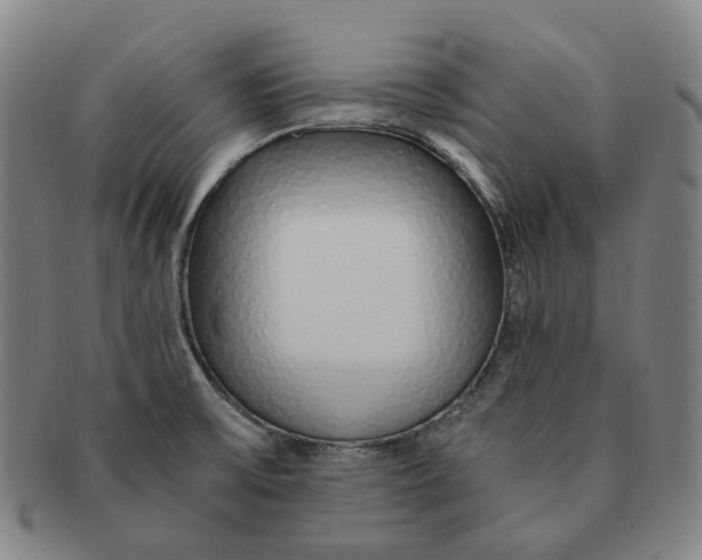 X0000091241475200708301527