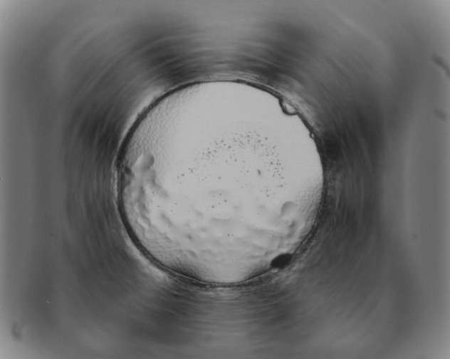 X0000091241476200708301527