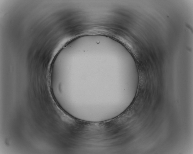 X0000091241478200708301527