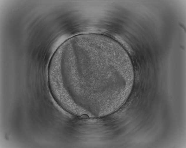 X0000091241479200708301527