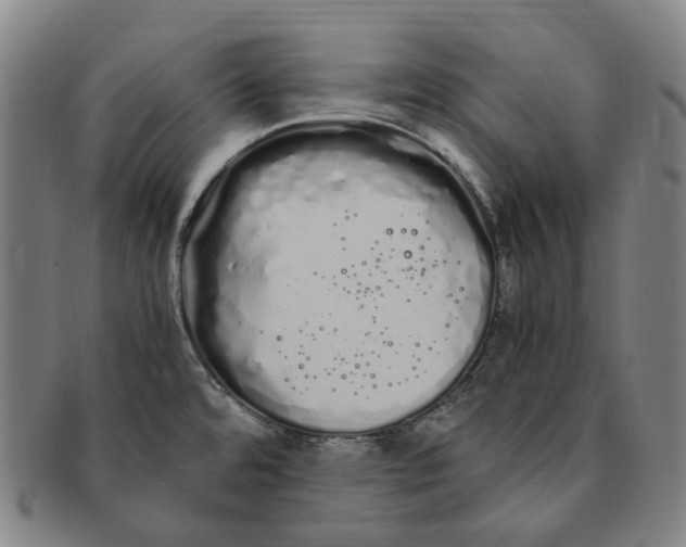 X0000091241480200708301527