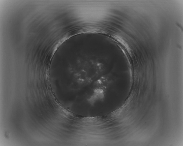 X0000091241481200708301527