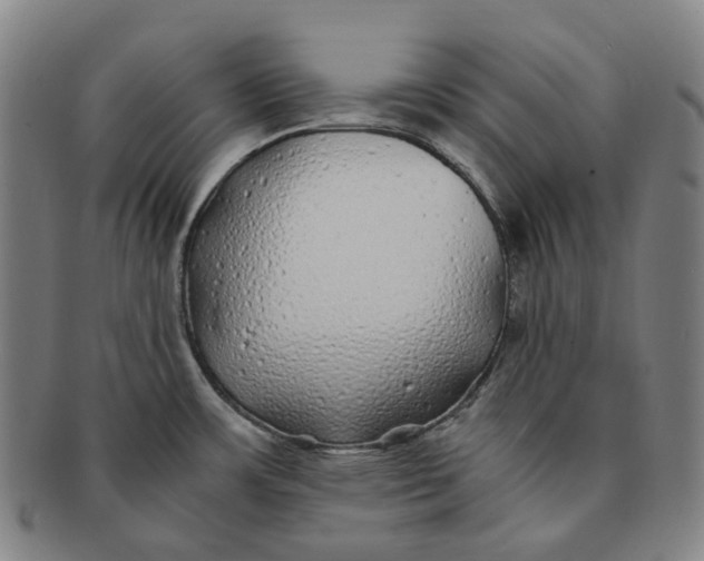 X0000091241483200708301527