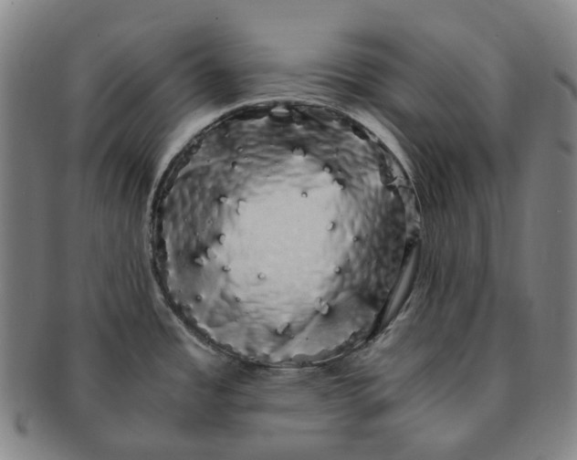 X0000091241485200708301527