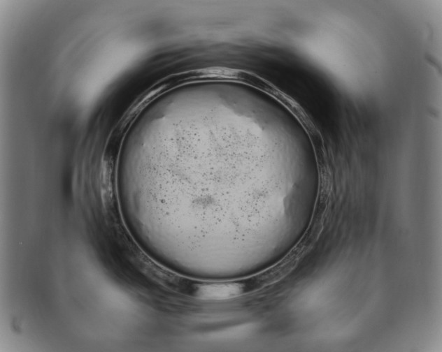 X0000091241487200708301527