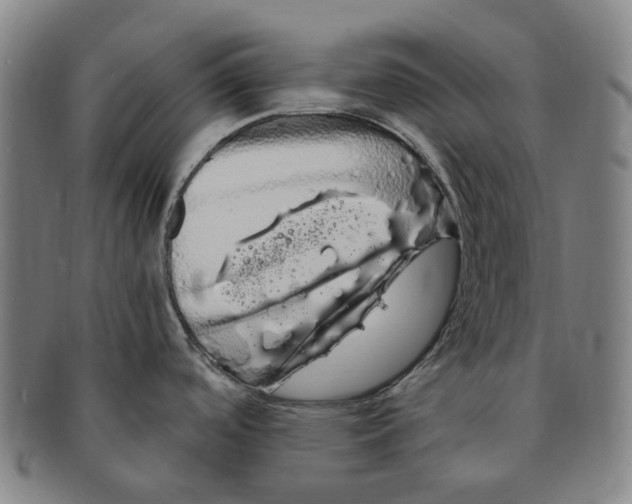 X0000091241488200708301527