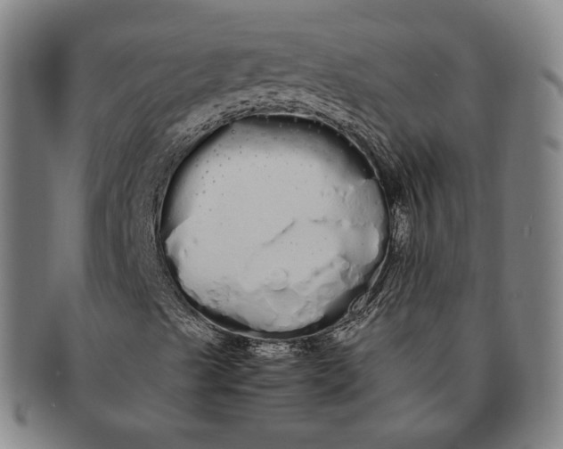 X0000091241489200708301526