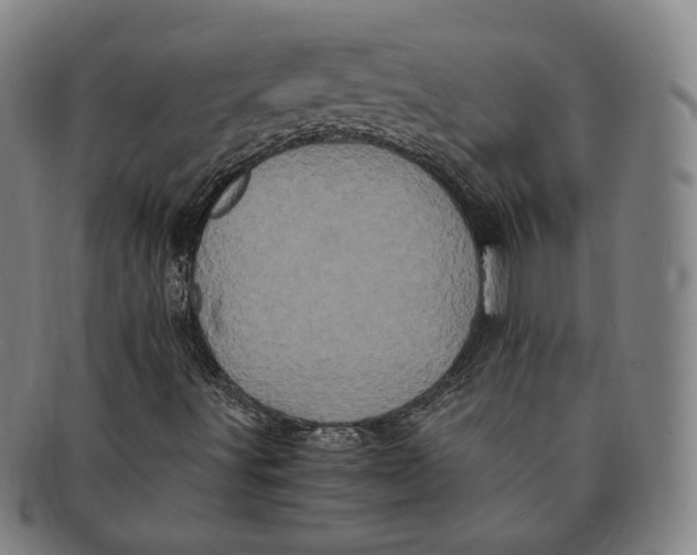 X0000091241491200708301526