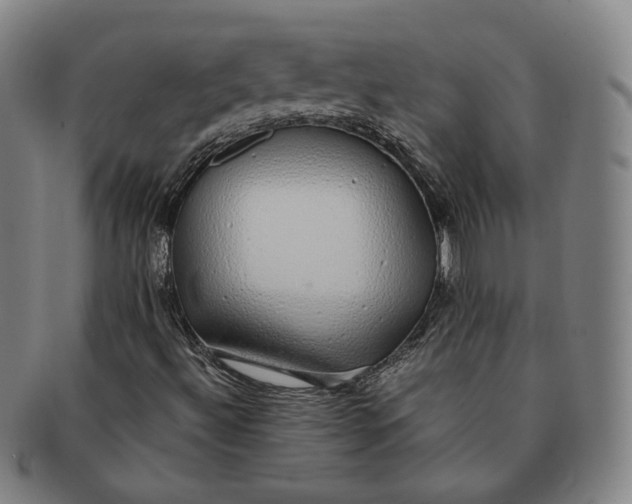 X0000091241492200708301526