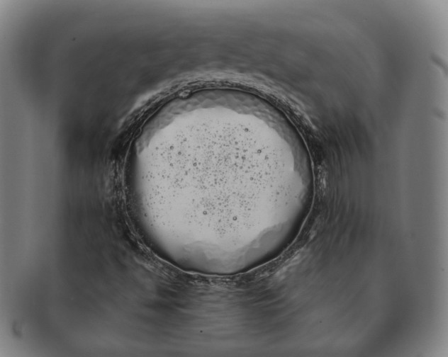 X0000091241494200708301526