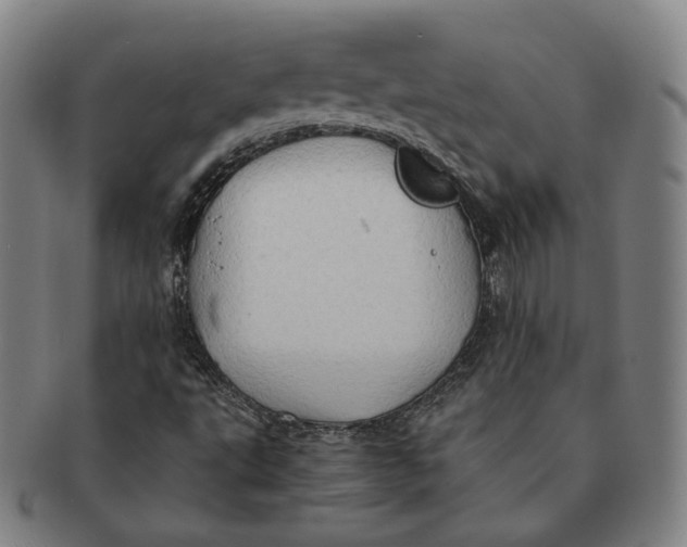 X0000091241495200708301526