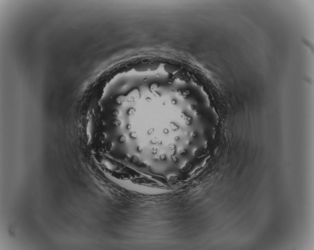 X0000091241496200708301526
