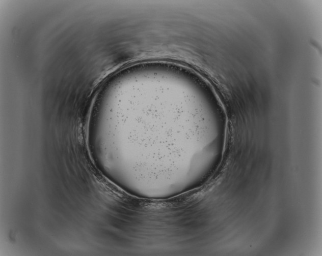 X0000091241497200708301526