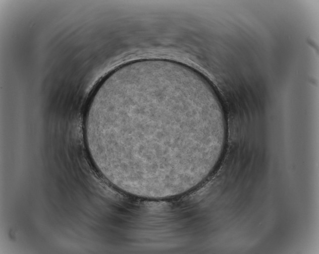 X0000091241498200708301526