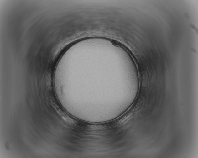 X0000091241499200708301526