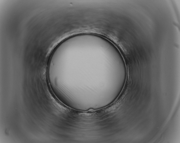 X0000091241500200708301526