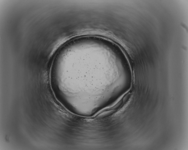 X0000091241501200708301526