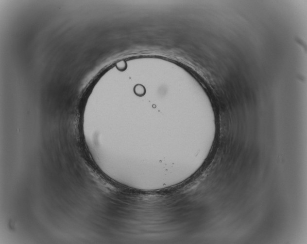 X0000091241502200708301526