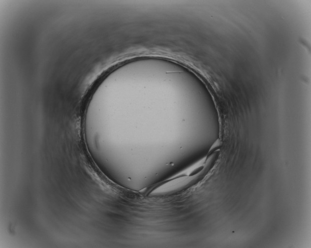 X0000091241503200708301526