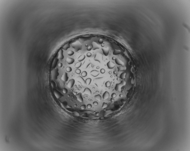 X0000091241504200708301526