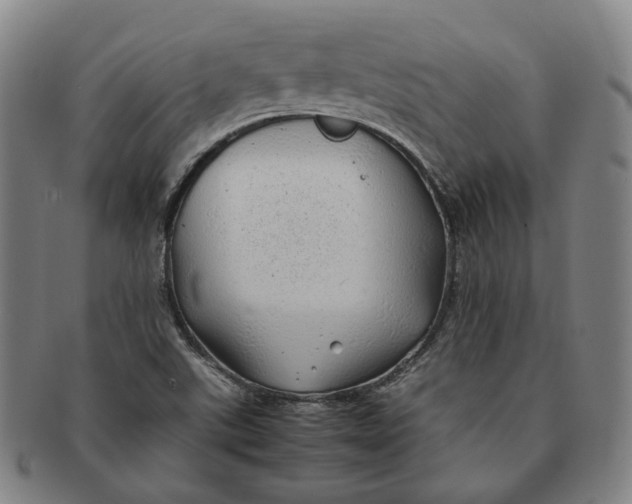 X0000091241507200708301527