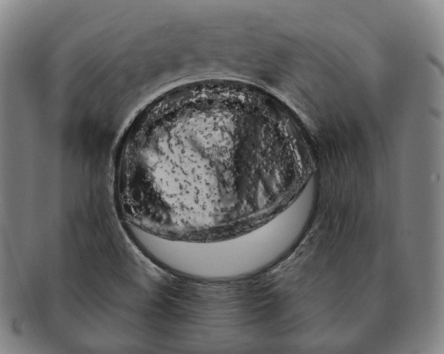 X0000091241508200708301527