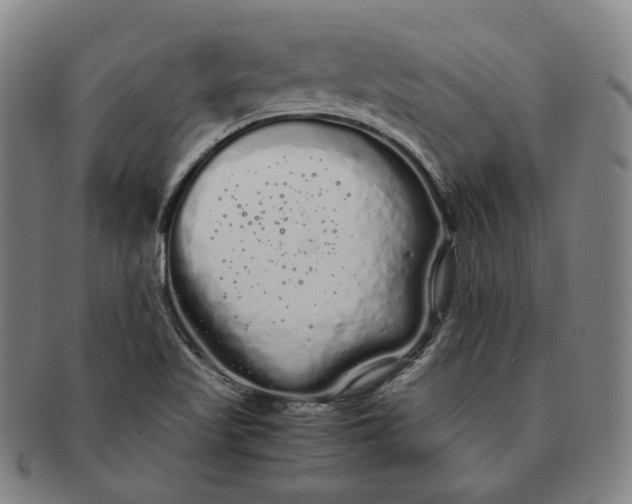 X0000091241509200708301527