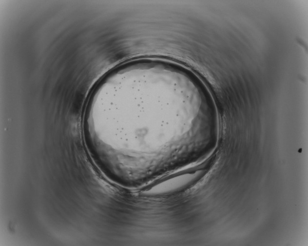 X0000091241513200708301527