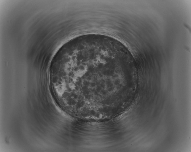 X0000091241515200708301527