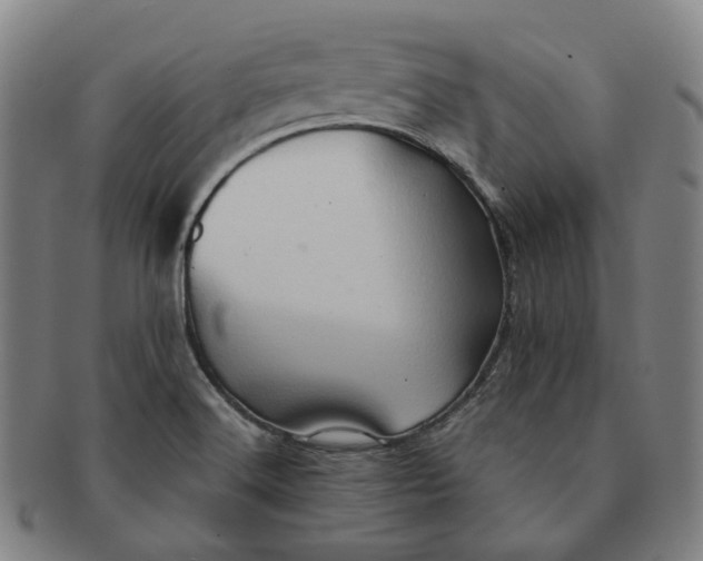 X0000091241516200708301527