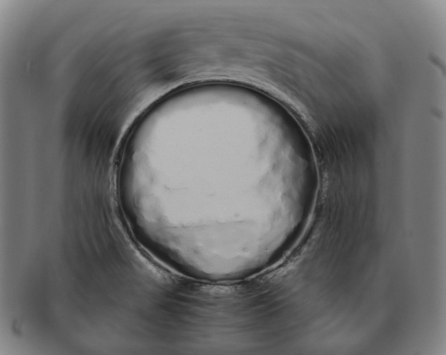 X0000091241517200708301527