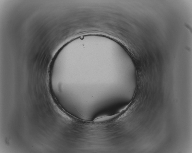 X0000091241518200708301527