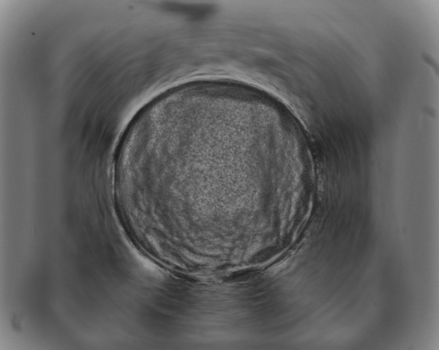 X0000091241519200708301527