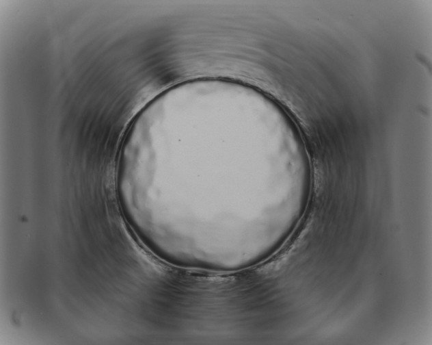 X0000091241521200708301527