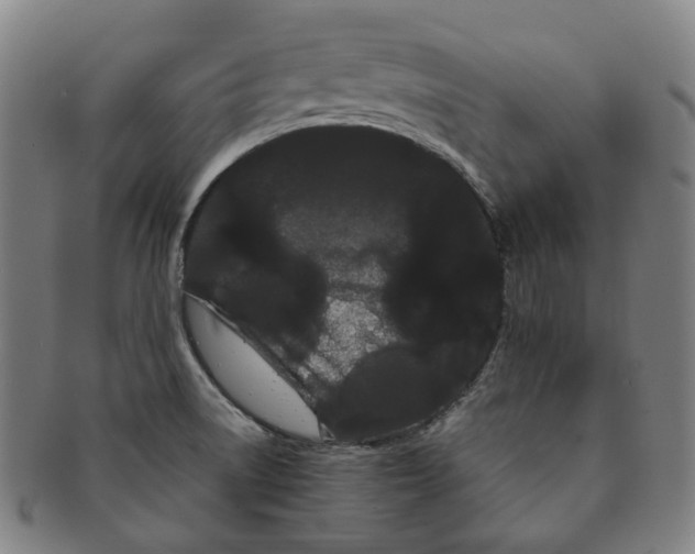 X0000091241522200708301527