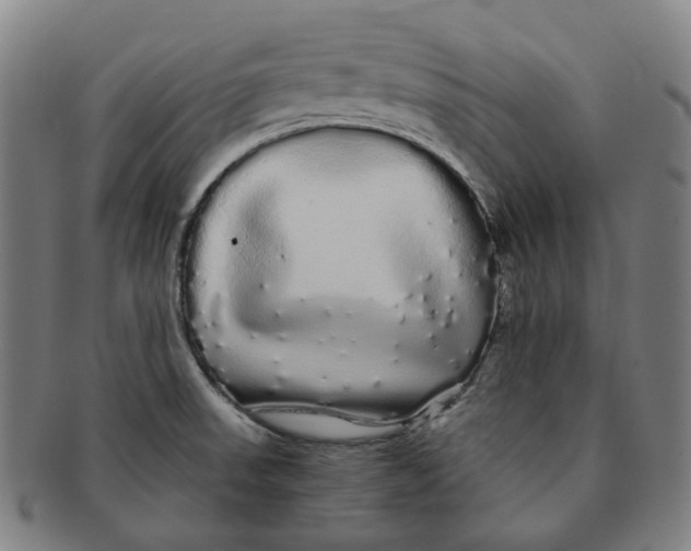 X0000091241523200708301527
