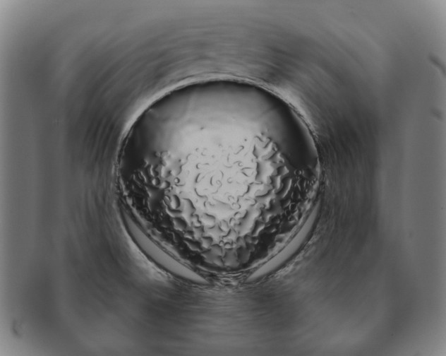 X0000091241524200708301527