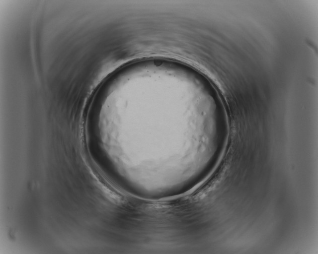 X0000091241525200708301527