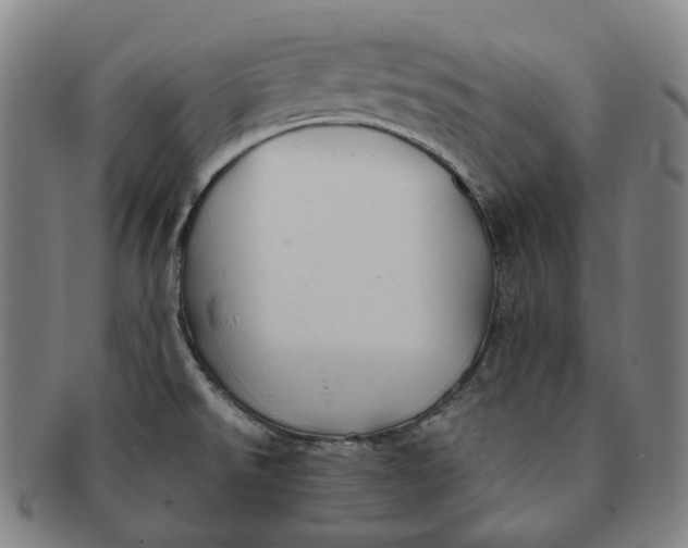 X0000091241526200708301527