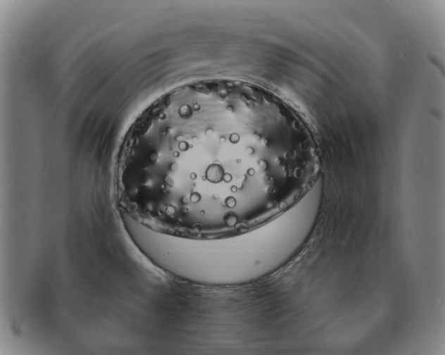 X0000091241528200708301527