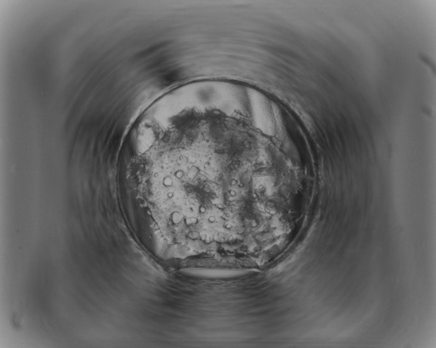 X0000091241529200708301527