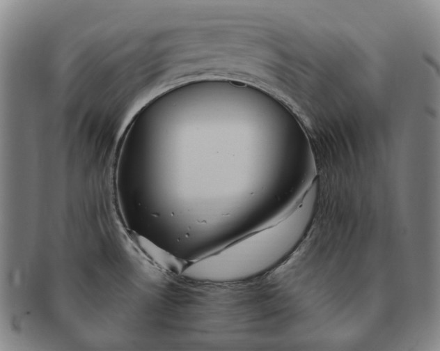X0000091241530200708301527