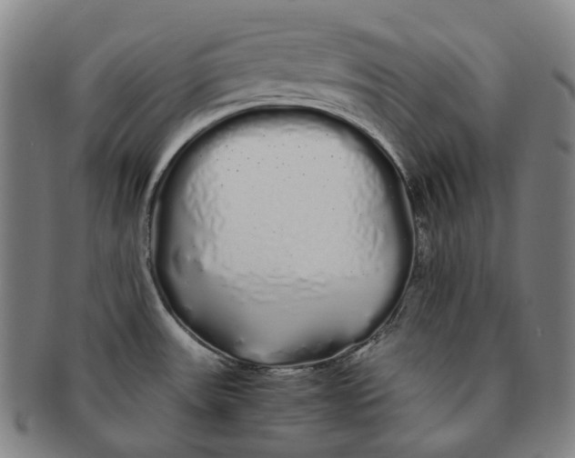 X0000091241531200708301527