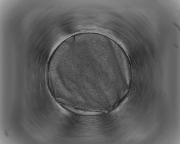 X0000091241533200708301527