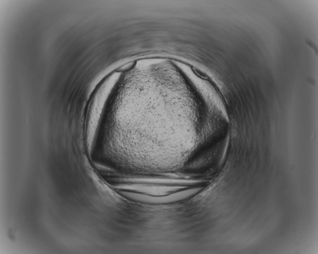 X0000091241534200708301527