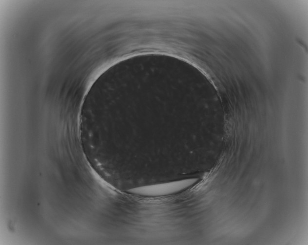 X0000091241535200708301527