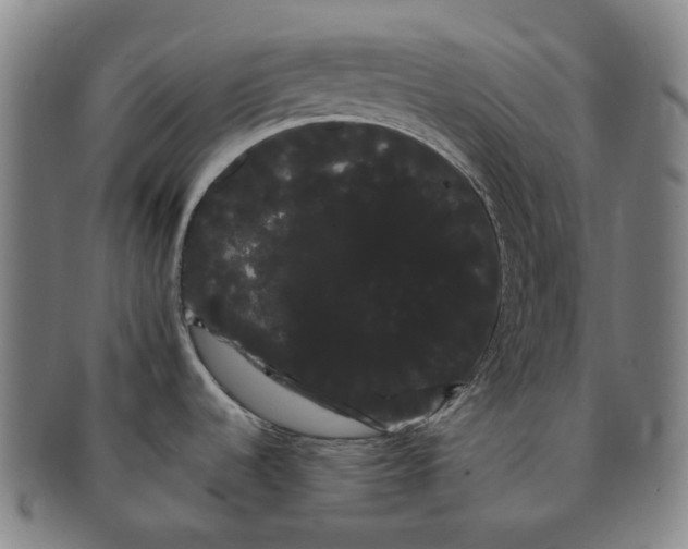 X0000091241536200708301527