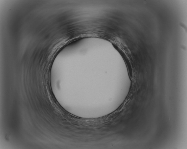 X0000091240001200709061550