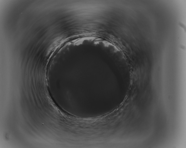 X0000091240002200709061550