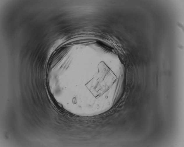 X0000091240003200709061550